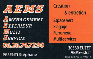 Logo-AEMS